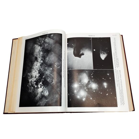 1959 Edition Encyclopedia Britannica Vtg HC Volume 16 MUSHR to OZON Education - Picture 12 of 16